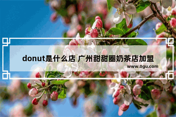 donut是什么店 广州甜甜圈奶茶店加盟