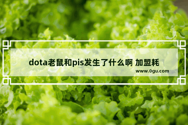 dota老鼠和pis发生了什么啊 加盟耗子药