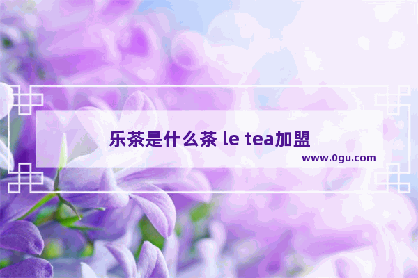 乐茶是什么茶 le tea加盟