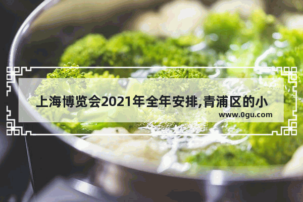 上海博览会2021年全年安排,青浦区的小吃加盟哪家好