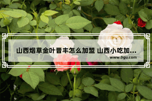 山西烟草金叶晋丰怎么加盟 山西小吃加盟开店排名大全