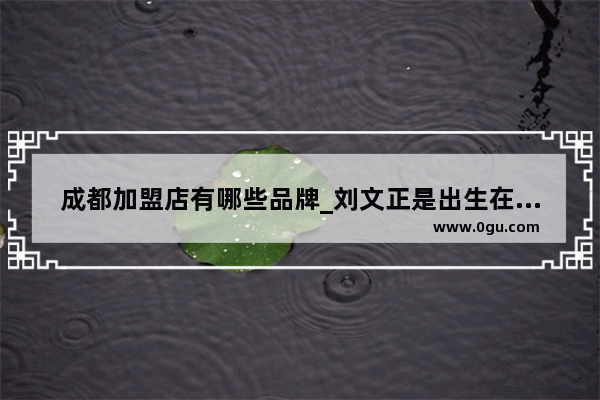 成都加盟店有哪些品牌_刘文正是出生在眷村吗