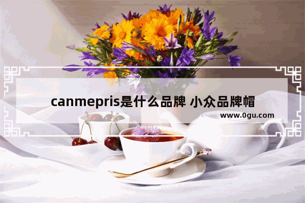 canmepris是什么品牌 小众品牌帽子加盟店推荐