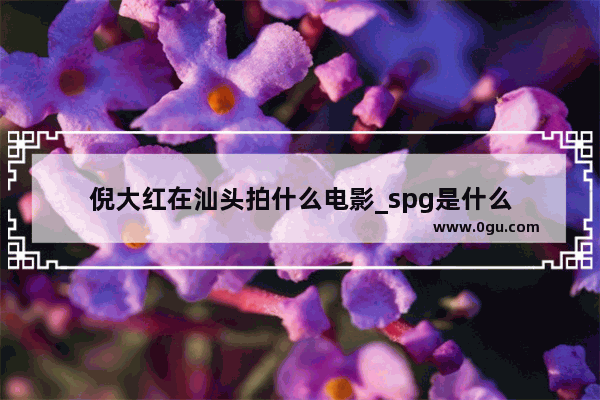 倪大红在汕头拍什么电影_spg是什么