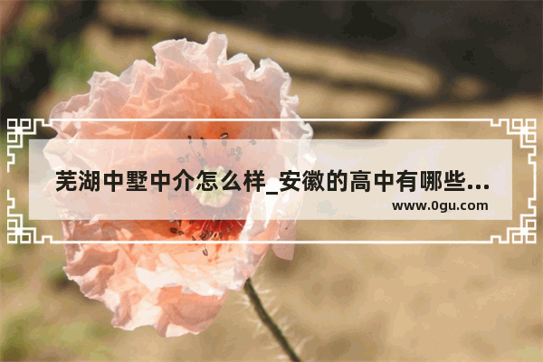 芜湖中墅中介怎么样_安徽的高中有哪些最好的