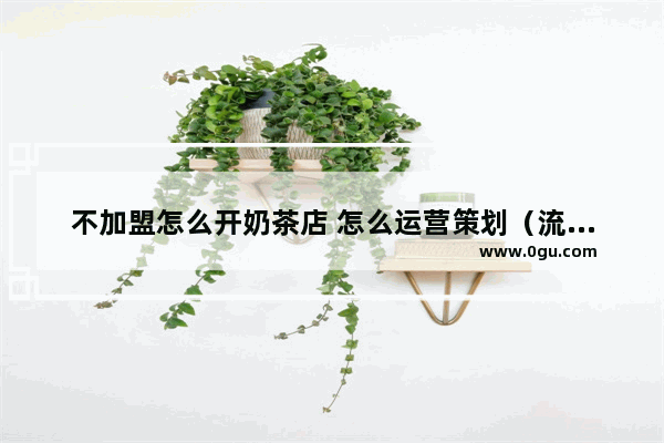 不加盟怎么开奶茶店 怎么运营策划（流程步骤）_奶茶店低价招加盟