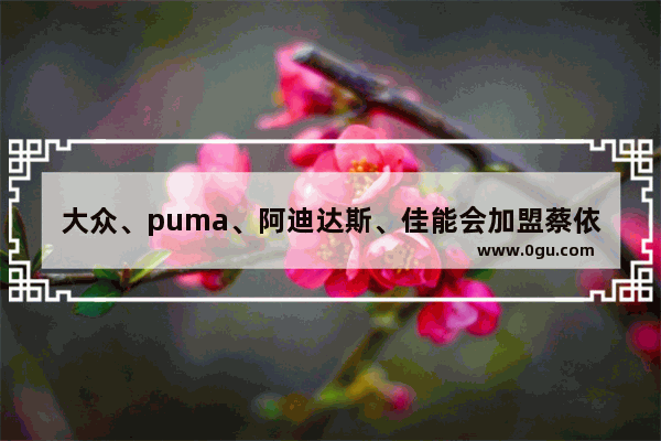 大众、puma、阿迪达斯、佳能会加盟蔡依林 赵晨浩 热力兄弟 古天乐 罗志祥的微电影吗,彪马如何加盟