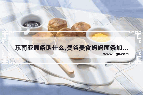 东南亚面条叫什么,曼谷美食妈妈面条加盟店