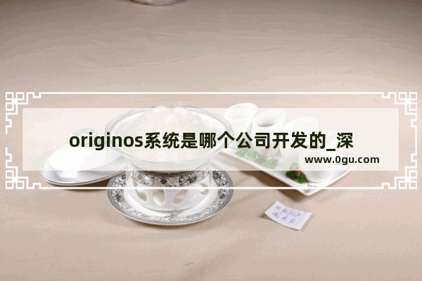 originos系统是哪个公司开发的_深圳便签美食推荐加盟店