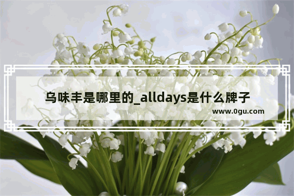 乌味丰是哪里的_alldays是什么牌子