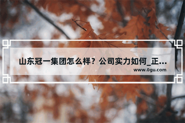 山东冠一集团怎么样？公司实力如何_正贤实效商学院怎么样