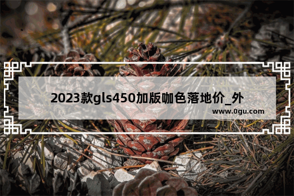 2023款gls450加版咖色落地价_外墙喷砂最流行的颜色