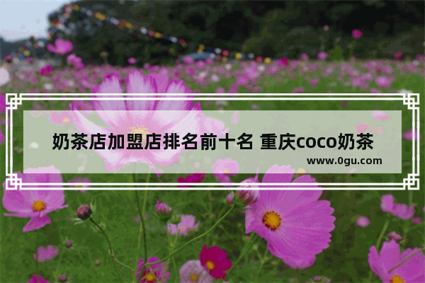 奶茶店加盟店排名前十名 重庆coco奶茶店加盟