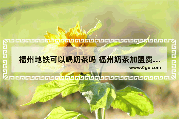 福州地铁可以喝奶茶吗 福州奶茶加盟费用多少