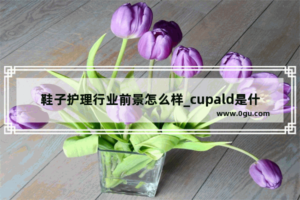 鞋子护理行业前景怎么样_cupald是什么牌子的鞋