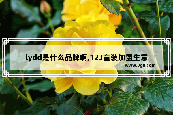 lydd是什么品牌啊,123童装加盟生意好吗