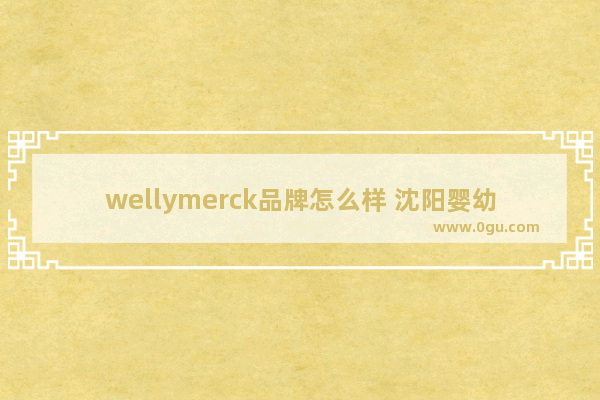 wellymerck品牌怎么样 沈阳婴幼儿托育品牌加盟