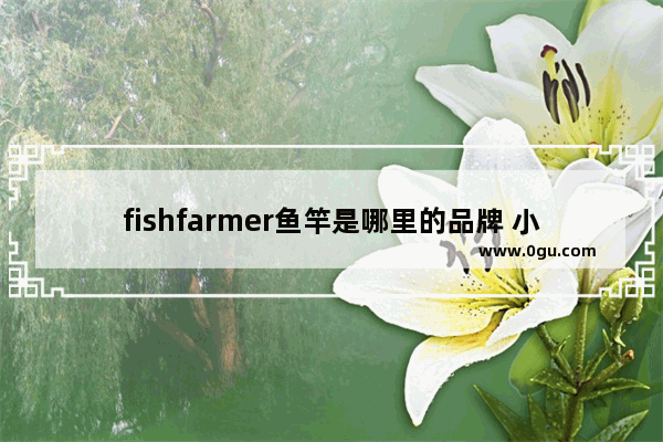 fishfarmer鱼竿是哪里的品牌 小猫钓鱼加盟