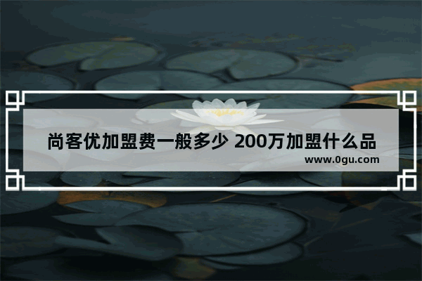 尚客优加盟费一般多少 200万加盟什么品牌酒店