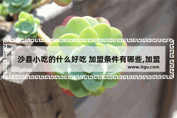 沙县小吃的什么好吃 加盟条件有哪些,加盟拌面