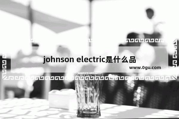 johnson electric是什么品牌,成都护肤加盟品牌