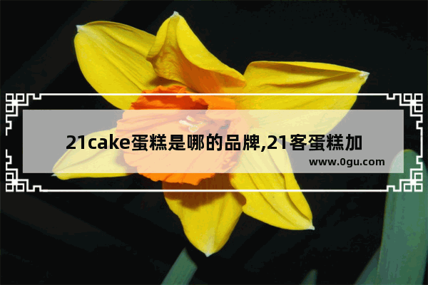 21cake蛋糕是哪的品牌,21客蛋糕加盟吗