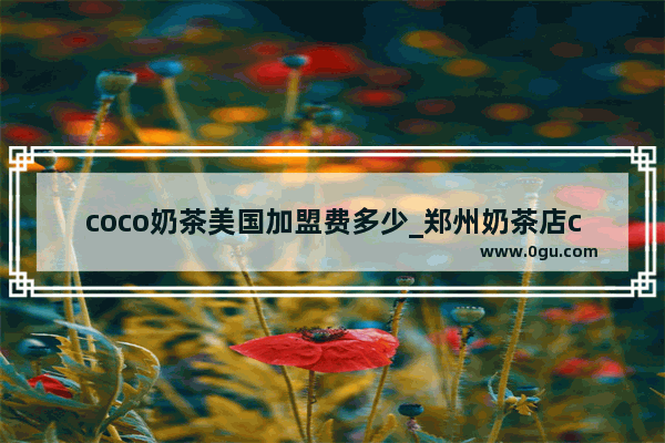 coco奶茶美国加盟费多少_郑州奶茶店coco加盟费用