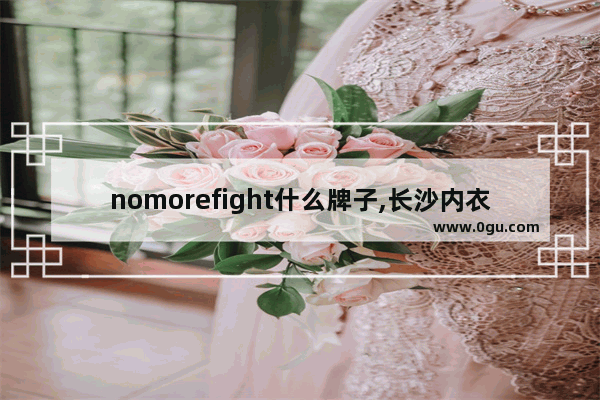 nomorefight什么牌子,长沙内衣加盟品牌