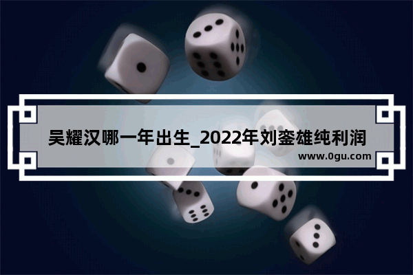 吴耀汉哪一年出生_2022年刘銮雄纯利润是多少