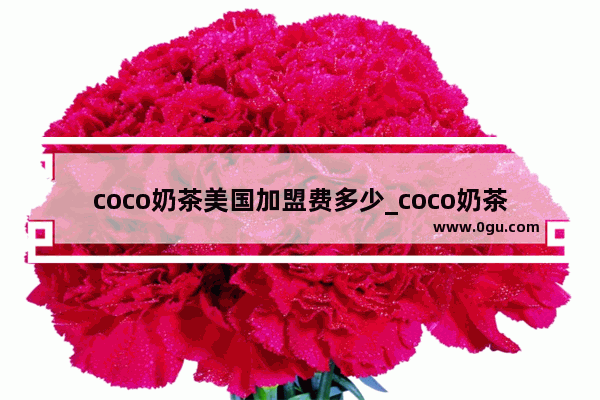 coco奶茶美国加盟费多少_coco奶茶加盟有那些方式