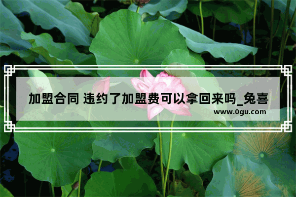 加盟合同 违约了加盟费可以拿回来吗_兔喜快递超市1000元保证金怎么退