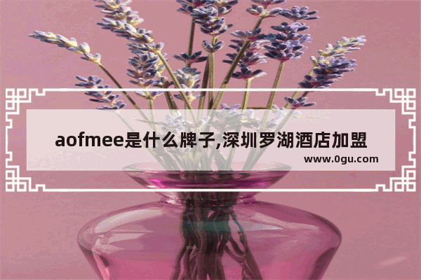 aofmee是什么牌子,深圳罗湖酒店加盟