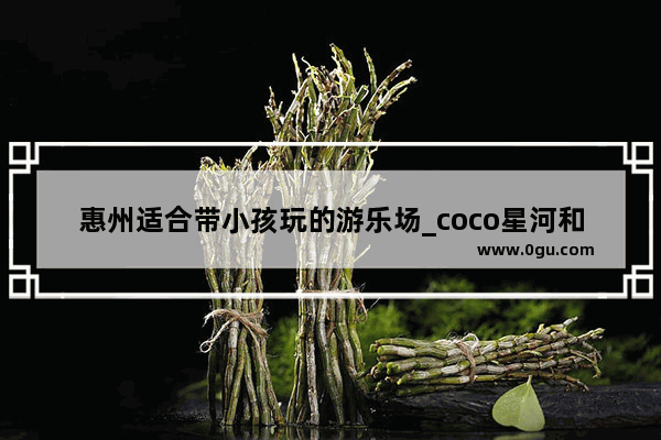 惠州适合带小孩玩的游乐场_coco星河和coco都可什么区别