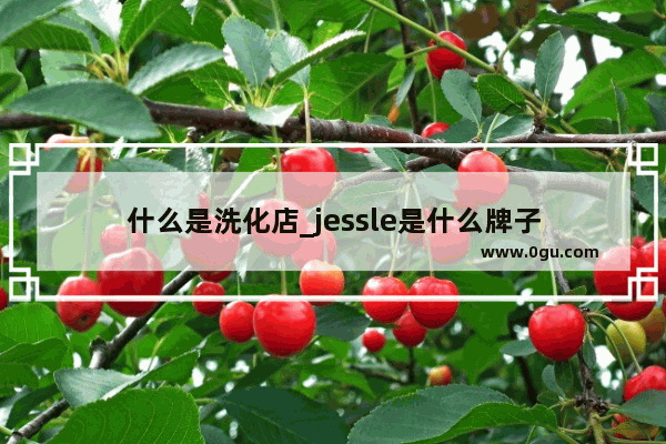 什么是洗化店_jessle是什么牌子