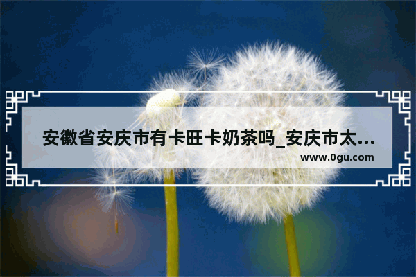 安徽省安庆市有卡旺卡奶茶吗_安庆市太湖县开个奶茶店怎么样