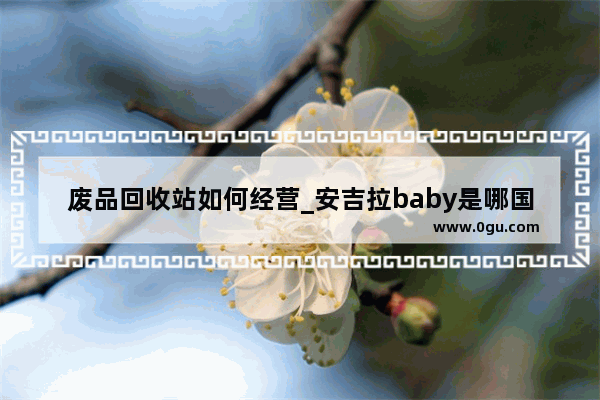 废品回收站如何经营_安吉拉baby是哪国人