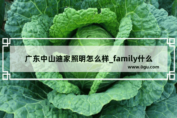 广东中山迪家照明怎么样_family什么牌子