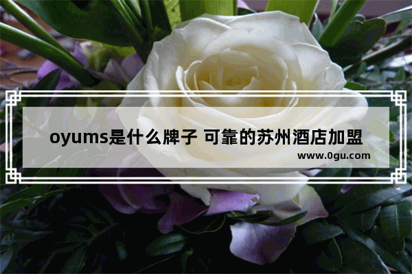 oyums是什么牌子 可靠的苏州酒店加盟