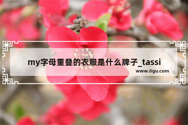 my字母重叠的衣服是什么牌子_tassigny是世界品牌吗