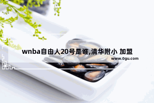 wnba自由人20号是谁,清华附小 加盟