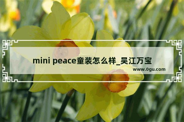 mini peace童装怎么样_吴江万宝有哪些童装品牌