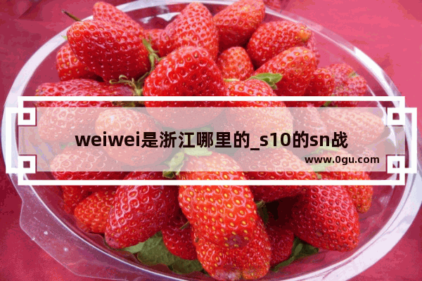 weiwei是浙江哪里的_s10的sn战队是全华班吗