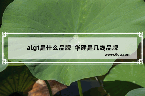 algt是什么品牌_华建是几线品牌