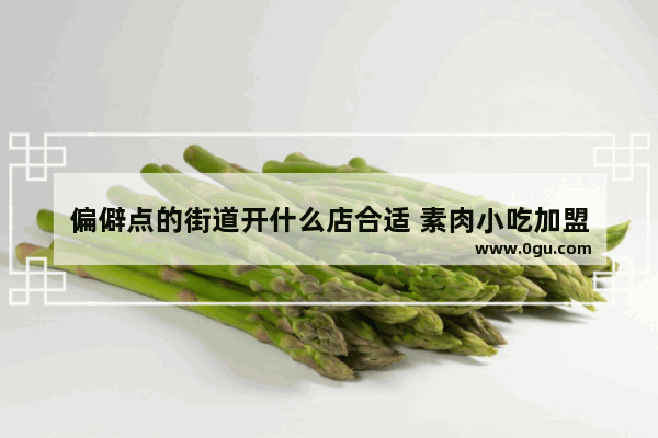 偏僻点的街道开什么店合适 素肉小吃加盟