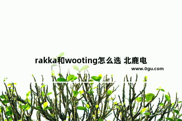 rakka和wooting怎么选 北鹿电竞酒店加盟费多少