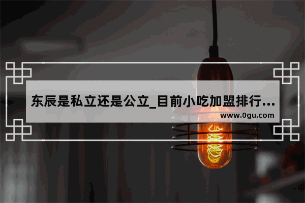 东辰是私立还是公立_目前小吃加盟排行榜中最畅销的小吃是什么