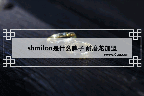 shmilon是什么牌子 耐磨龙加盟