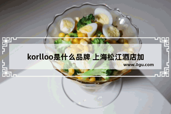 korlloo是什么品牌 上海松江酒店加盟酒店加盟