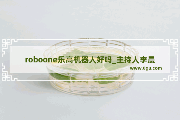 roboone乐高机器人好吗_主持人李晨多高