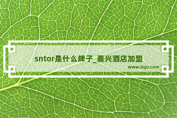 sntor是什么牌子_嘉兴酒店加盟